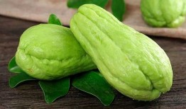 生椰吃瓜刺梨吃瓜的作法,夏日消暑新食尚