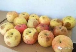 南中吃瓜小组,揭秘校园热点，畅谈青春话题