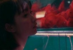 吃瓜少女猴儿,揭秘娱乐圈背后的甜蜜与苦涩