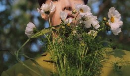 夏日吃瓜剧,盘点年度热门吃瓜剧