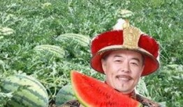 瓜农翻车路上吃瓜视频,这瓜太香了！