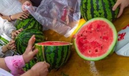 吃瓜心情的视频,跟随吃瓜心情，畅游视频娱乐世界