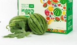 吃瓜小乐颜包,揭秘娱乐圈幕后故事