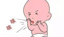 咳嗽可以吃乳瓜吗小孩,天然食疗的选择