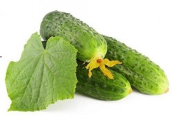 绿色的树瓜怎么吃,绿色树瓜的多样食法探索