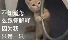 丢丢吃瓜,揭秘娱乐圈幕后故事