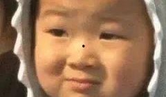 吃瓜无语视频大全