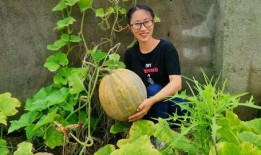 农村夫妇吃瓜,农村夫妇的甜蜜生活瞬间