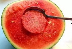 临清小卫吃瓜视频,揭秘网络热点背后的故事