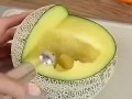 吃哈密瓜面视频,夏日清爽美食新体验