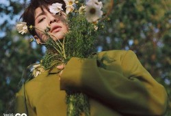 夏日吃瓜剧,盘点年度热门吃瓜剧