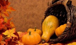 呆萌避雷吃瓜,轻松吃瓜，远离是非风波