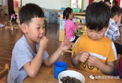 幼师吃瓜游戏,揭秘幼儿园里的欢乐时光