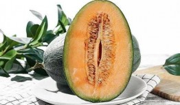 月下吃瓜的人,揭秘人生百态的闲情逸致