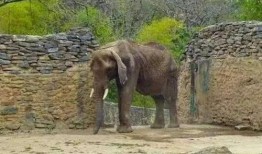 叫驴吃瓜,一场意外的乡村奇遇