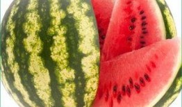 天天吃瓜ttcg,揭秘虚拟世界中的瓜田乐园