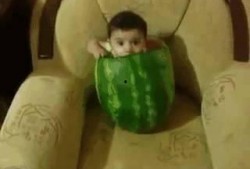 吃瓜十七,一场网络热点的狂欢与反思