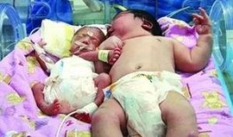 巨婴吃瓜,揭秘网络时代的“巨婴现象”