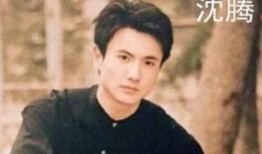 沈樵视频吃瓜,一场视觉与味觉的双重盛宴