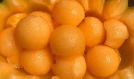 吃蜂蜜蜜瓜,蜂蜜蜜瓜的完美融合之旅