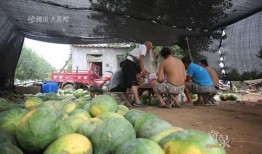 吃瓜小屋,网络热点的幕后故事