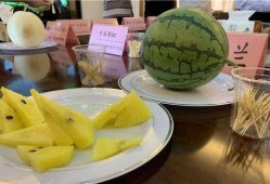 苏州人民吃瓜,品味姑苏城里的夏日清凉