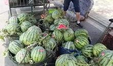 福建酒吧吃瓜事件