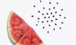 吃瓜吃吐了小西瓜特效,揭秘“吃瓜吃吐”小西瓜特效