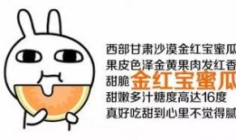 吃瓜群众怎样回,揭秘“吃瓜群众”背后的网络现象