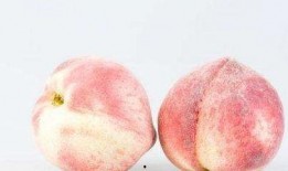 怀孕吃三白瓜好吗,孕期食用三白瓜的适宜性探讨