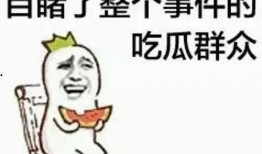 带你吃瓜vocal,带你领略“带你吃瓜vocal”的独特魅力