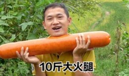 刘大瓜吃货,探寻美食世界的独特旅程