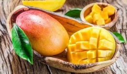 梦见吃芒果最后变成瓜,芒果变瓜的奇幻之旅