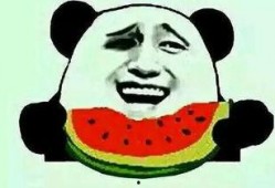 女子吃瓜表白,女子吃瓜中的浪漫邂逅