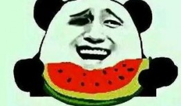 女子吃瓜表白,女子吃瓜中的浪漫邂逅