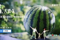 吃瓜文案流出抽象,揭秘吃瓜文案背后的抽象世界