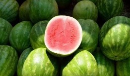 西瓜嫂子吃瓜,揭秘夏日消暑美食背后的故事