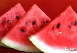 什么叫吃瓜命,揭秘网络时代下的围观者命运