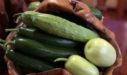 鹤山网红吃瓜,揭秘幕后故事与热门话题