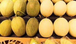 吃哈密瓜和西瓜呕吐