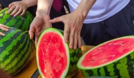 大学吃瓜图,揭秘大学吃瓜图背后的故事