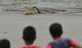 吃瓜废物z,网络红人的崛起与争议