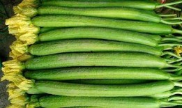 小偿吃瓜,揭秘娱乐圈那些不为人知的幕后故事