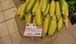 泰国吃瓜群众吃货,泰国“吃瓜群众”的美食狂欢之旅