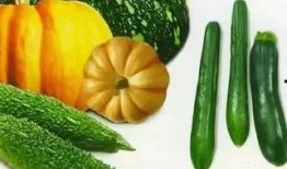 瓜在线吃瓜,揭秘网络吃瓜文化的魅力与争议