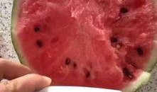 宠粉吃瓜,揭秘娱乐圈背后的甜蜜与争议