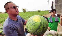 乌市吃瓜群,揭秘城市生活百态