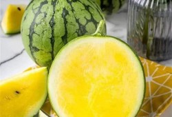 绿皮田瓜怎么吃,解锁田园美味新体验