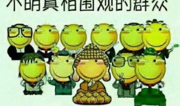 吃瓜神算,揭秘娱乐圈背后的秘密与真相