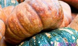 好心情吃瓜,轻松享受夏日清凉时光